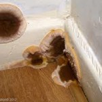 Rising Damp Problems in Shevington