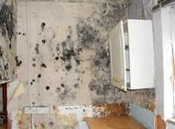 Problems-With-Mould-In-Blackburn