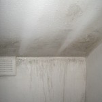 Damp Spcialist in Chorley