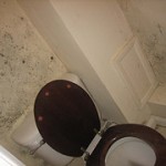 Condensation Problems in Lostock