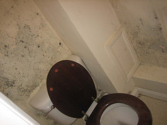 Condensation Problems in Lostock