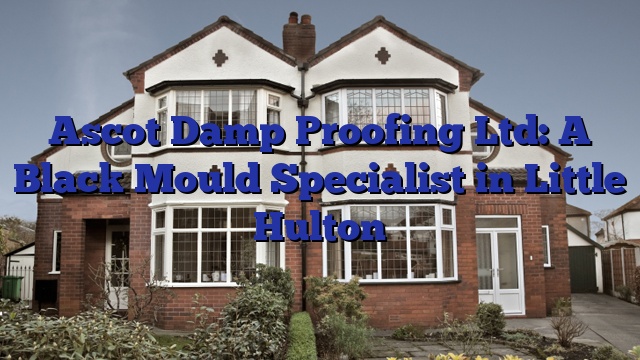 Ascot Damp Proofing Ltd: A Black Mould Specialist in Little Hulton