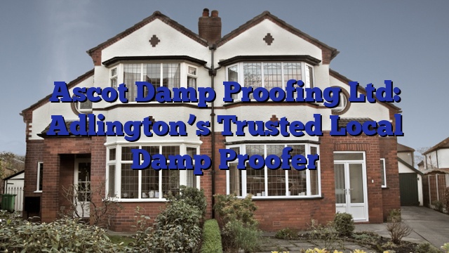 Ascot Damp Proofing Ltd: Adlington’s Trusted Local Damp Proofer