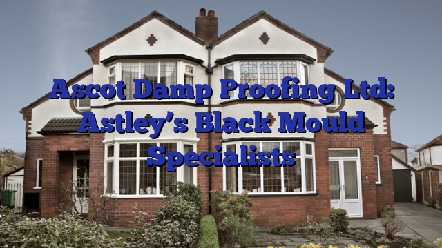Ascot Damp Proofing Ltd: Astley’s Black Mould Specialists