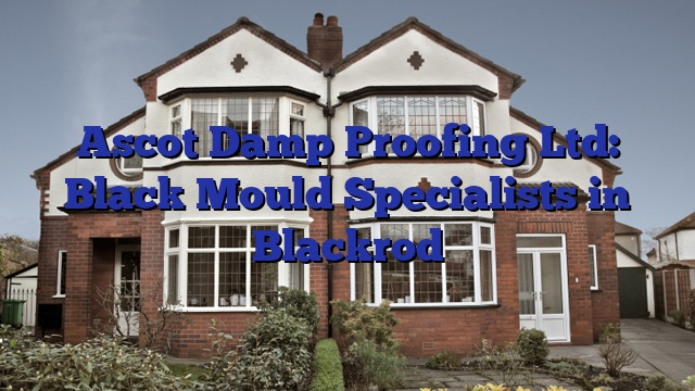 Ascot Damp Proofing Ltd: Black Mould Specialists in Blackrod