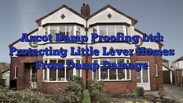 Ascot Damp Proofing Ltd: Protecting Little Lever Homes From Damp Damage