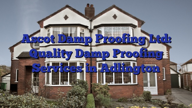 Ascot Damp Proofing Ltd: Quality Damp Proofing Services in Adlington