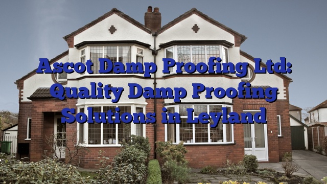 Ascot Damp Proofing Ltd: Quality Damp Proofing Solutions in Leyland