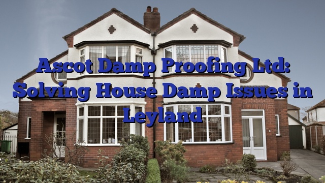 Ascot Damp Proofing Ltd: Solving House Damp Issues in Leyland
