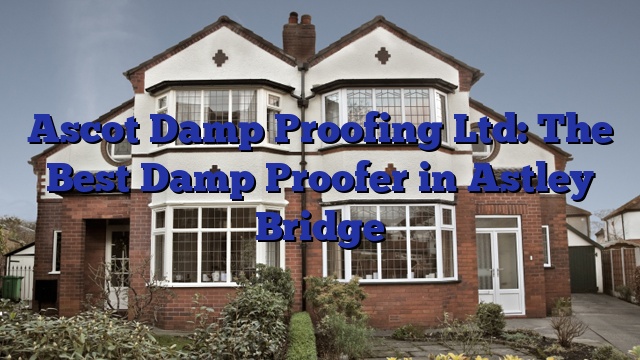 Ascot Damp Proofing Ltd: The Best Damp Proofer in Astley Bridge
