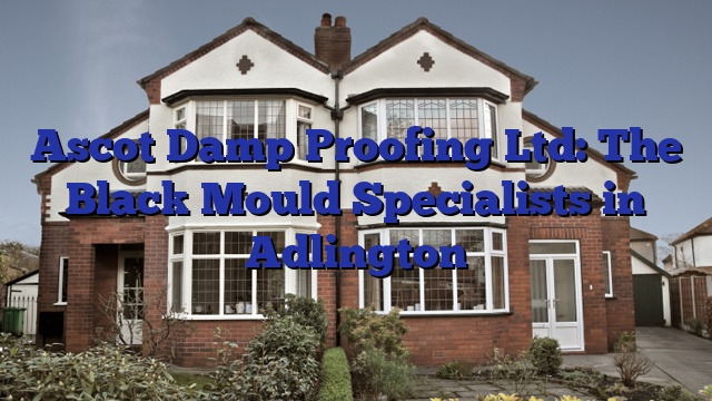 Ascot Damp Proofing Ltd: The Black Mould Specialists in Adlington