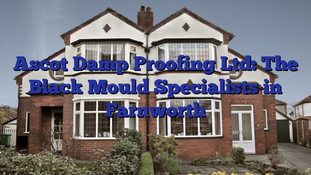 Ascot Damp Proofing Ltd: The Black Mould Specialists in Farnworth