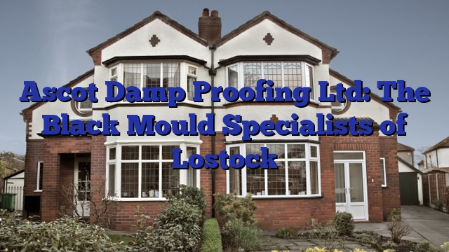 Ascot Damp Proofing Ltd: The Black Mould Specialists of Lostock