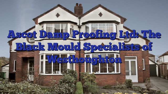 Ascot Damp Proofing Ltd: The Black Mould Specialists of Westhoughton