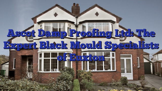 Ascot Damp Proofing Ltd: The Expert Black Mould Specialists of Euxton