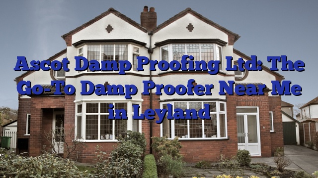 Ascot Damp Proofing Ltd: The Go-To Damp Proofer Near Me in Leyland
