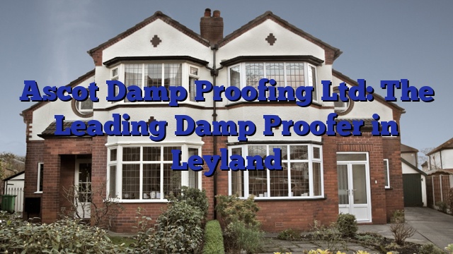 Ascot Damp Proofing Ltd: The Leading Damp Proofer in Leyland