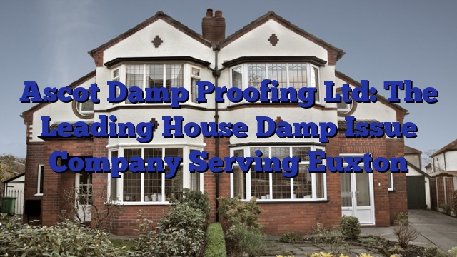 Ascot Damp Proofing Ltd: The Leading House Damp Issue Company Serving Euxton