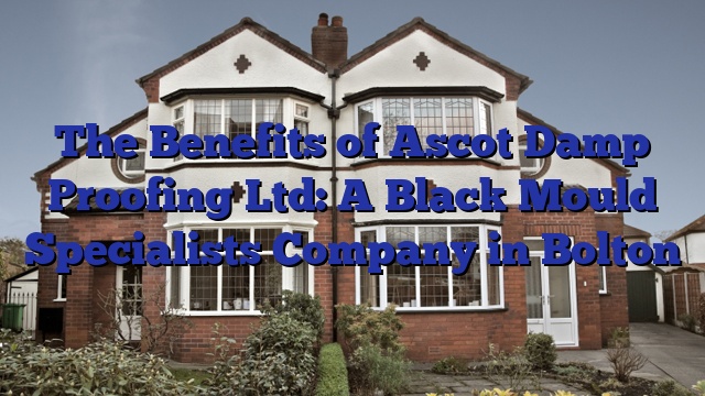 The Benefits of Ascot Damp Proofing Ltd: A Black Mould Specialists Company in Bolton