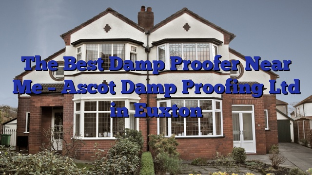 The Best Damp Proofer Near Me – Ascot Damp Proofing Ltd in Euxton
