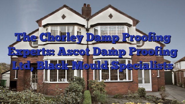 The Chorley Damp Proofing Experts: Ascot Damp Proofing Ltd, Black Mould Specialists