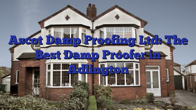 Ascot Damp Proofing Ltd: The Best Damp Proofer in Adlington