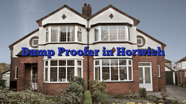 Damp Proofer in Horwich