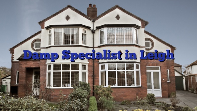Damp Specialist in Leigh