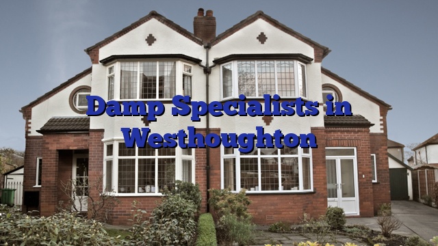 Damp Specialists in Westhoughton