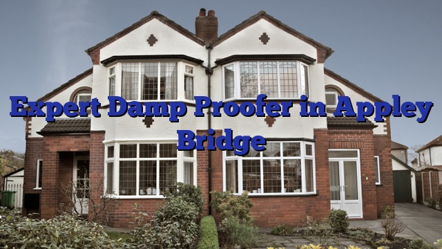 Expert Damp Proofer in Appley Bridge