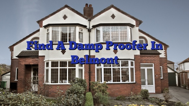 Find A Damp Proofer In Belmont