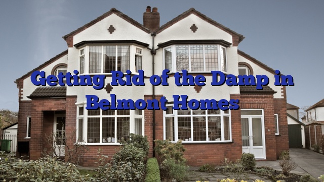 Getting Rid of the Damp in Belmont Homes