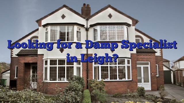 Looking for a Damp Specialist in Leigh?