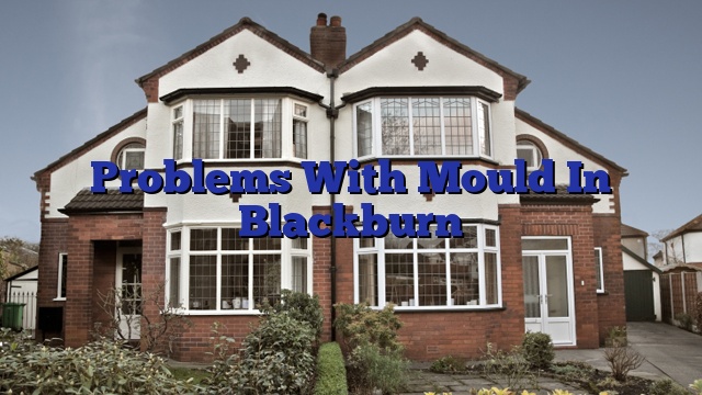 Problems With Mould In Blackburn