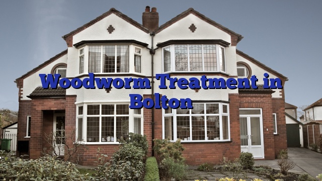 Woodworm Treatment in Bolton