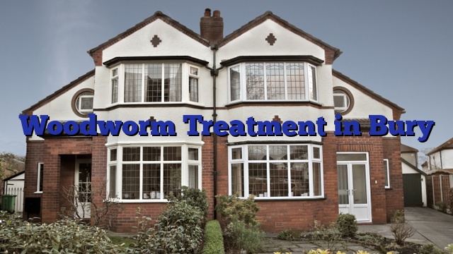 Woodworm Treatment in Bury