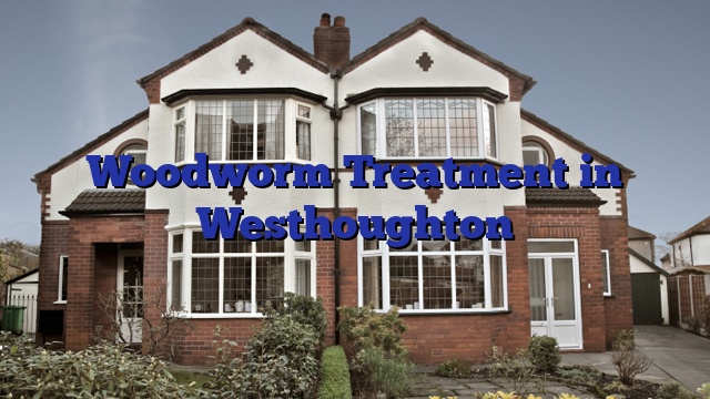 Woodworm Treatment in Westhoughton
