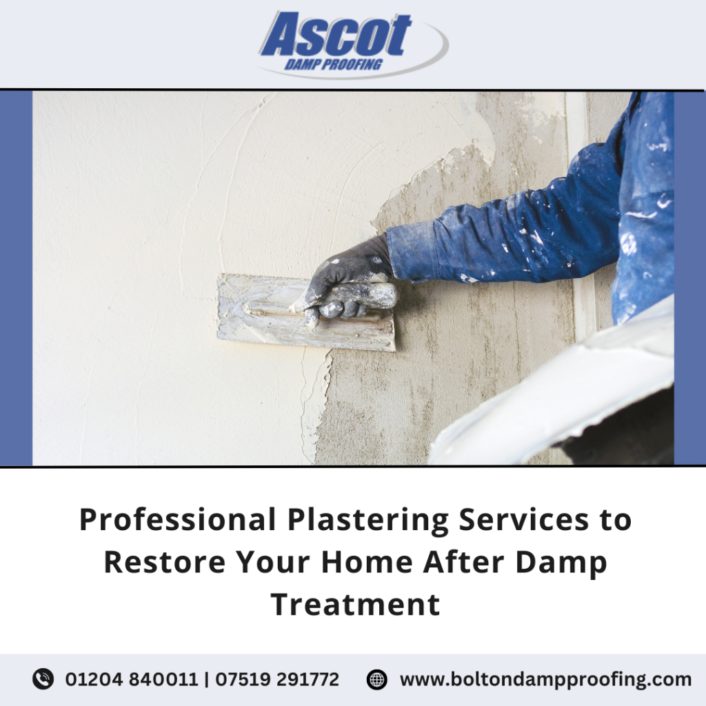 Professional Plastering Services to Restore Your Home After Damp Treatment