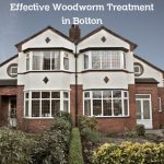 Effective Woodworm Treatment in Bolton