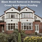 Black Mould Removal in Bromley Cross | Ascot Damp Proofing