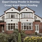 Expert Damp Proofer in Bromley Cross | Ascot Damp Proofing